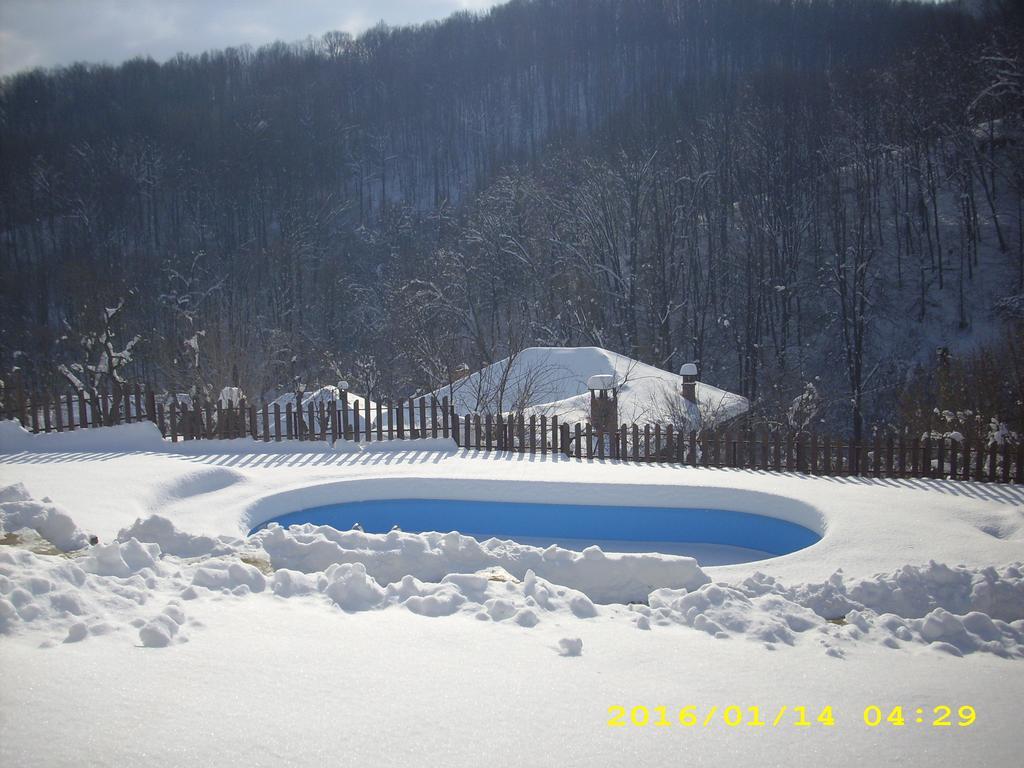House Maya Tryavna Dış mekan fotoğraf